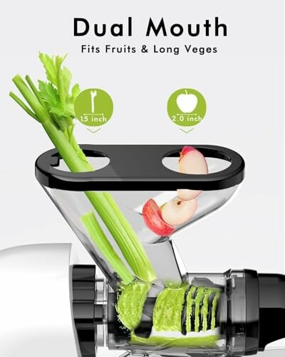 Dual mouth juicer with celery and apple slices